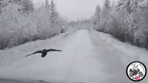Песня про водителей Крайнего севера