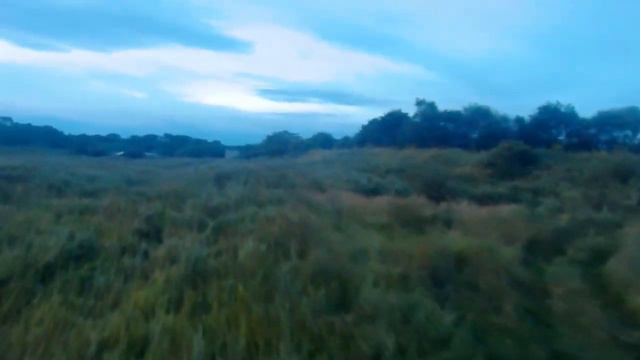 Вечерняя порция FPV дофамина смотреть онлайн