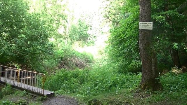 Vatravel.ru  Источник Серафима Саровского у д.Савеево (Смоленская обл)
