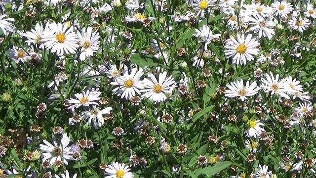 УТРО-ДЕНЬ-НОЧЬ. MORNING-DAY-NIGHT. सुबह-दिन-रात। смотреть онлайн