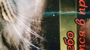 1000004925.mp4  Стих " Лесбиянка на танке ".Инна Гетц.