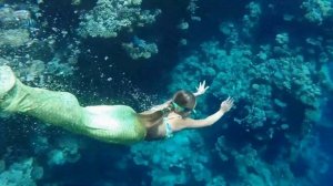 Челлендж: в хвосте русалки 24 часа