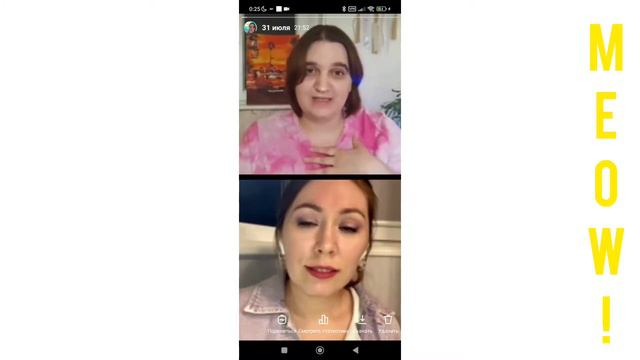 Коллаба MEOWVONN смотреть онлайн