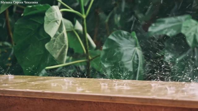 Мелодии дождя. Музыка для души. Эту музыку можно слушать вечно! Лучшие композиции Сергею Чекалину # смотреть онлайн