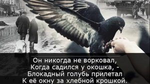 БЛОКАДНЫЙ ГОЛУБЬ. Леонид Корнилов.