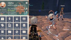 Баг с камерой в Genshin Impact