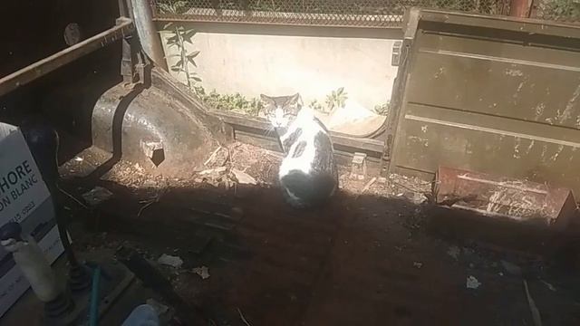 разбор ЛУАЗ 969М стоит оно того или нет? смотреть онлайн