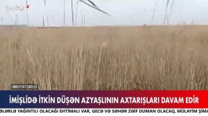 FHN İmişlidə itkin düşən məktəbli barədə yeni görüntülər yaydı