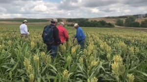 No-till на суходольных севооборотах Дакота Лейкс