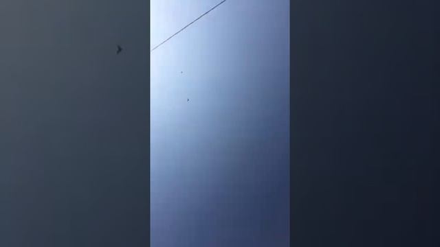 Ленинаканские голуби. Бойные голуби. Привет Калуга. смотреть онлайн