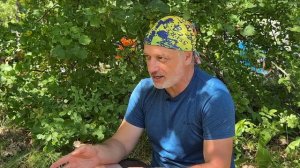 Шаман о  сущностях и подселенцах в теле человека