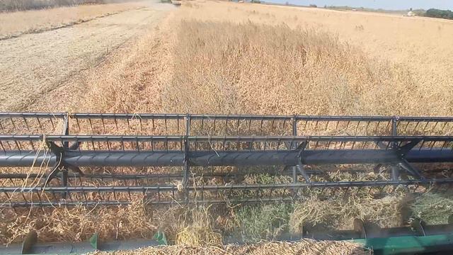 Уборка сои 2024. Просто жесть. смотреть онлайн