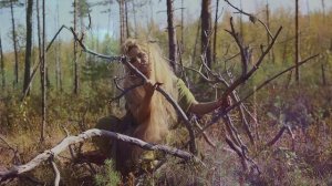 "Песня Кикиморы"  Русалина Селентай