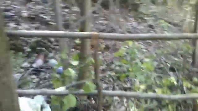 Окультуривание родника 2 часть.Сделал навес над прудом и отвод воды.Начал делать беседку