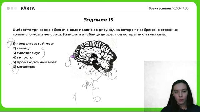 Разбор 1 варианта Рохлова | Биология ЕГЭ 2023 | PARTA смотреть онлайн