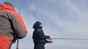 выставляюсь по судаку, судак в эхолоте