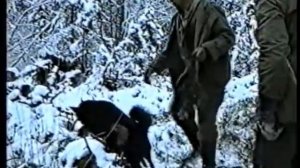 Сибирь. Охота на соболя в Саянской тайге.