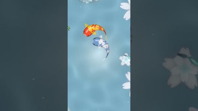 Zen Koi - Breed & Collect Fish