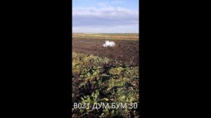 В031 ДУМ БУМ 30