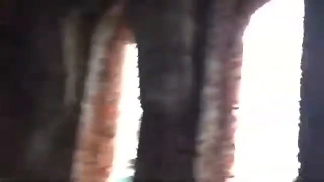 Заброшенная церковь