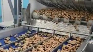 Конвейеры для морепродуктов