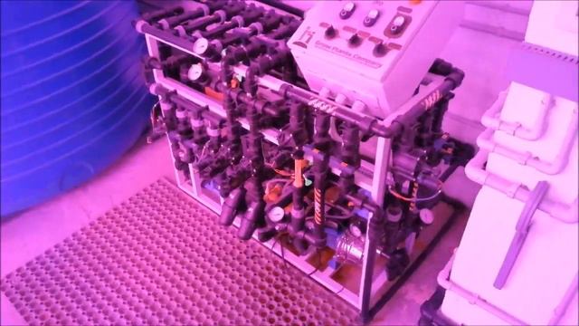 Гидропонная ферма. Экскурсия и дегустация смотреть онлайн