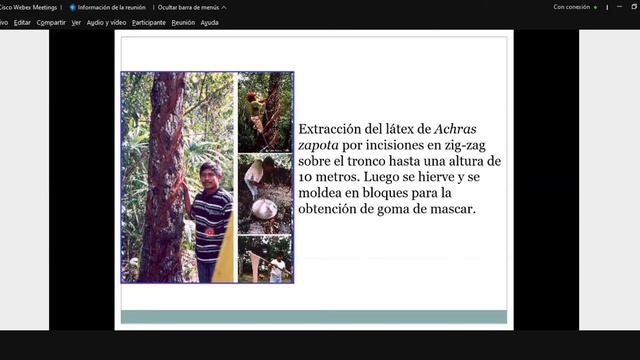 Farmacobotánica Clase teoría 20/09 Parte 1 смотреть онлайн