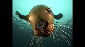 10 интересных фактов о Республике Вануату