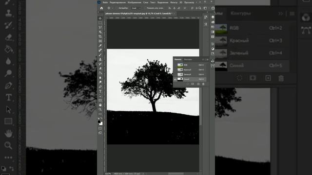 Быстро вырезаю сложный объект / Adobe Photoshop / #shorts