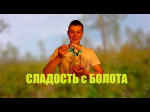 МОРОШКА В СИРОПЕ / СЕВЕРНАЯ СЛАДОСТЬ / На болоте в КОМИ / ВАРЕНЬЕ ИЗ ЯГОД