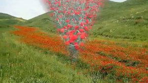 Природа в фотографиях Таджикистан