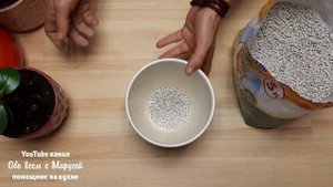 КОМНАТНЫЕ ЦВЕТЫ ОЖИВУТ/НАПОЛНИТЕЛЬ КАК УДОБРЕНИЕ