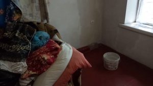 Отношение к живой и неживой природе и облагораживанию пространства