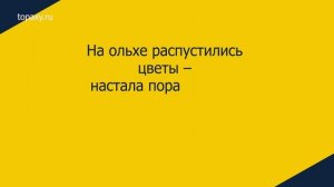 Какой сегодня праздник 29 апреля.