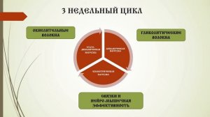 УМНЫЙ АТЛЕТИЗМ - ВВЕДЕНИЕ