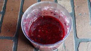 Заморозка голубики на зиму - 2 способа