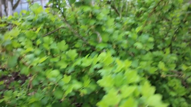 НИЧЕГО НЕ БОИТСЯ / РУШАН МЕНЯ ВЫРУЧИЛ смотреть онлайн