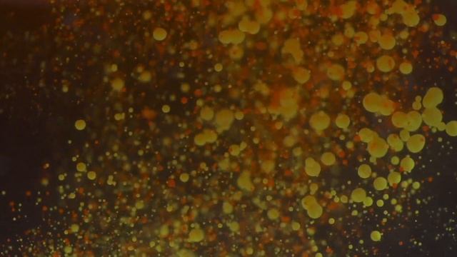 Выпивал по 2 сырых яйца каждый день и вот что произошло с моим телом... смотреть онлайн