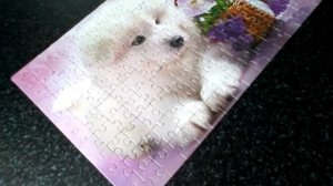 Пазл 160 штук :Сборка самостоятельно