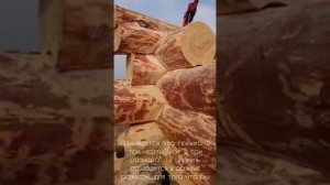 Канадская рубка. Чашка бриллиант. О правильной Канадке_1.
