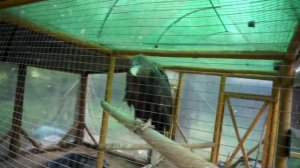 Экзопарк Высоковское Устье-Кубенское