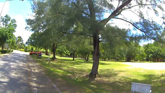 Vlog_7.1 Королевский парк на Пхукете / King Rama IX Park или Suan Luang Park [Phuket] смотреть онлайн