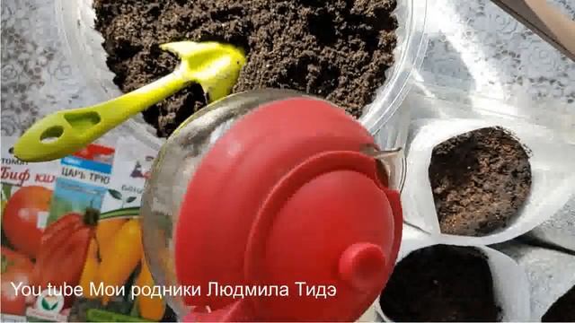 Как сеять томаты без пикировки смотреть онлайн