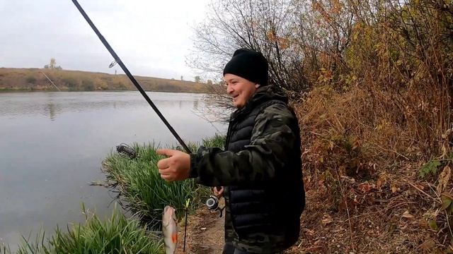 Рыбалка на дону. Ловля хищника на фидер (живца). Щука и окунь проголодались.