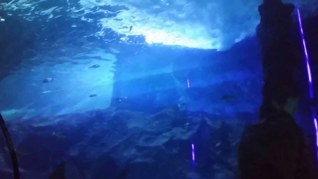 Франция Антиб МаринЛэнд ч.1