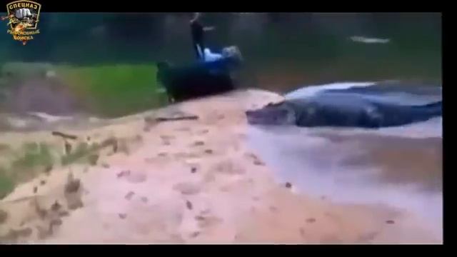 ПРИКОЛЫ НА РЫБАЛКЕ 2