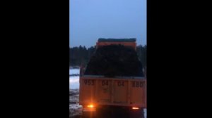 Покрытие кузова самосвала от налипания и примерзания
