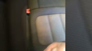 Как без пылесоса убрать шерсть и пыль из салона автомобиля