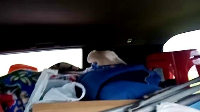 Хонда Фрид Спайк впихиваем не впихуемое... ? смотреть онлайн