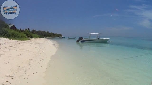 РЫБАЛКА НА МАЛЬДИВАХ С БЕРЕГА часть 2 смотреть онлайн
